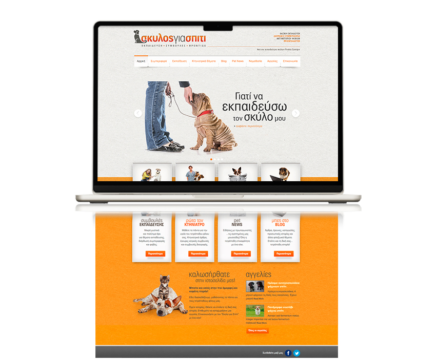website